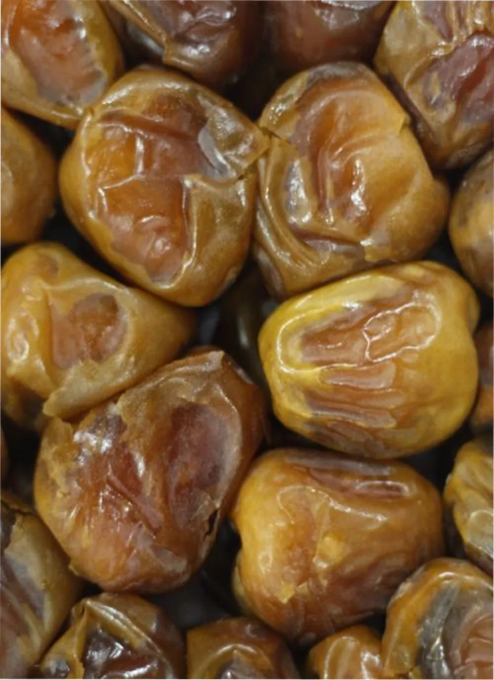 Kurma Sukari (Sukkary)
